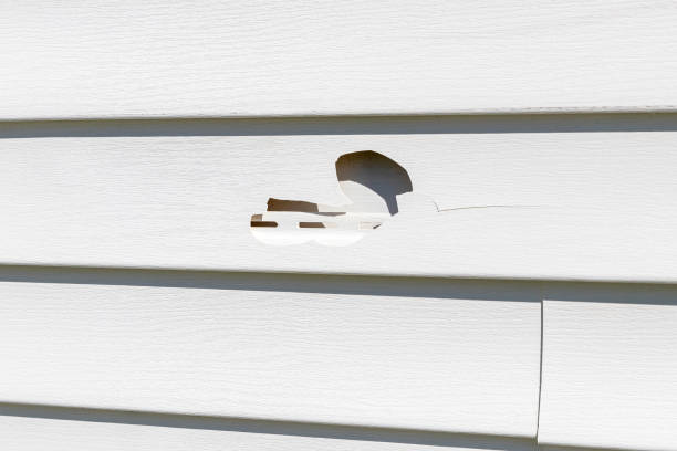 Best Custom Trim and Detailing for Siding  in Delano, CA